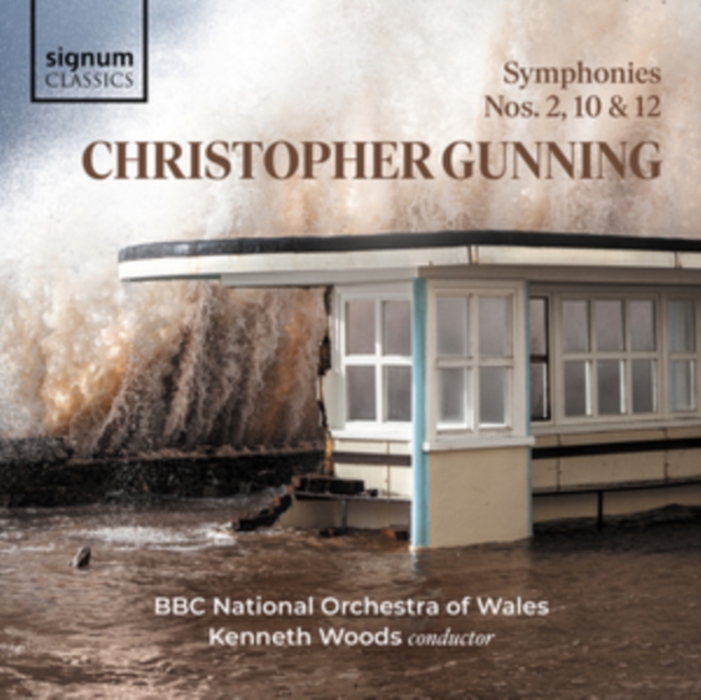 Christopher Gunning: Symphonies Nos. 2, 10 & 12, CD / Album Cd