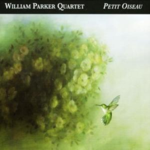 Petit Oiseau, CD / Album Cd