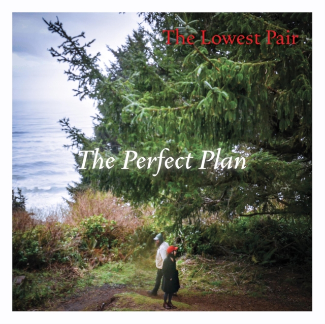 The Perfect Plan, Vinyl / 12" Album Vinyl