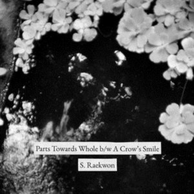 Part Towards Whole/A Crow's Smile, Vinyl / 7" Single Vinyl