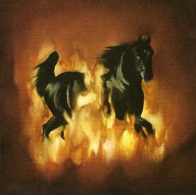 The Besnard Lakes Are the Dark Horse, CD / Album Cd