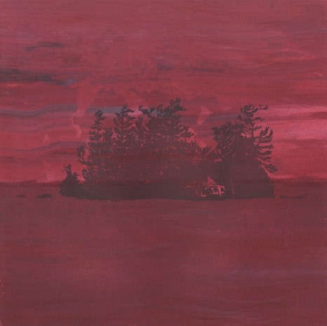The Besnard Lakes Are the Divine Wind, Vinyl / 12" Single Vinyl