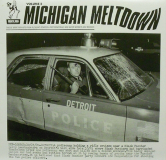 Michigan Meltdown Vol. 2: Twelve More Non-hits from Pleasant Peninsula Preternaturals, Vinyl / 12" Album Vinyl