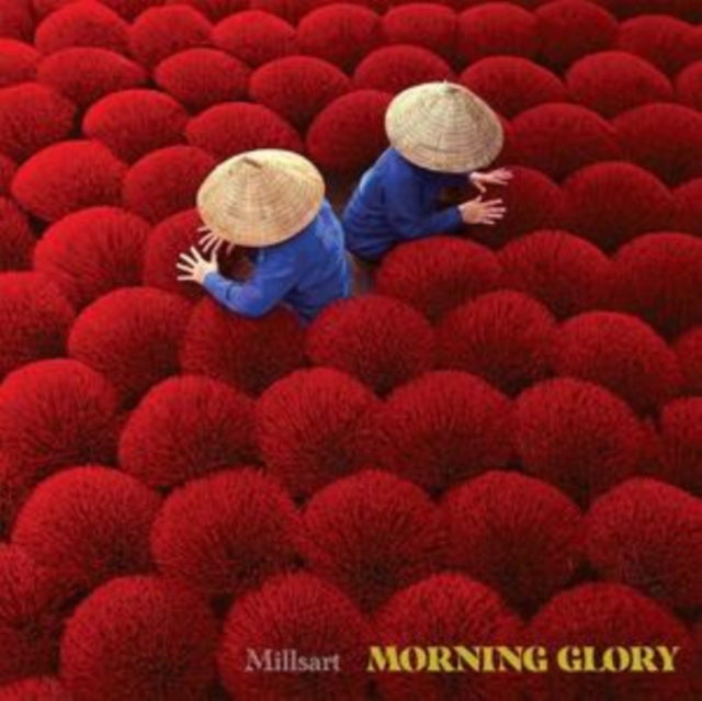 Morning Glory, Vinyl / 12" EP Vinyl