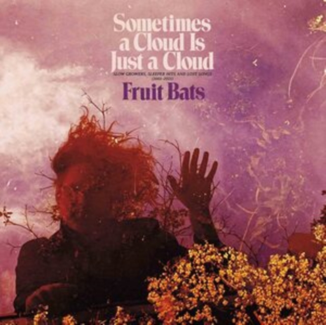 Sometimes a Cloud Is Just a Cloud: Slow Growers, Sleeper Hits and Lost Songs (2001-2021), Vinyl / 12" Album Coloured Vinyl Vinyl
