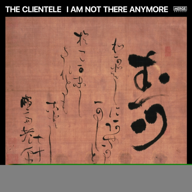 I Am Not There Anymore, Vinyl / 12" Album Vinyl