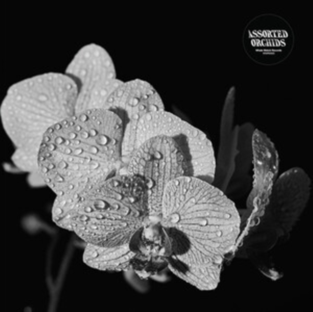 Assorted Orchids, Vinyl / 12" Album Coloured Vinyl Vinyl