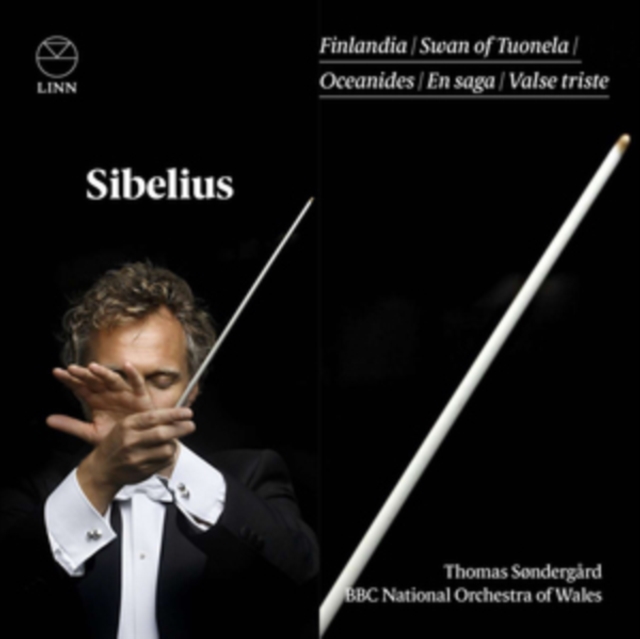 Sibelius: Finlandia/Swan of Tuonela/Oceanides/En Saga/..., CD / Album Cd