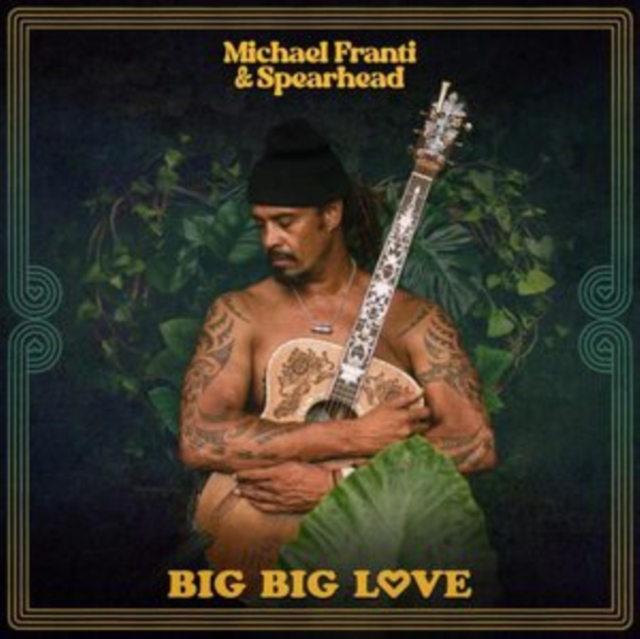 Big Big Love, Vinyl / 12" Album Vinyl