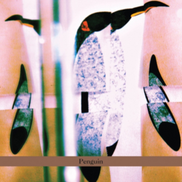 Penguin, CD / Album Cd