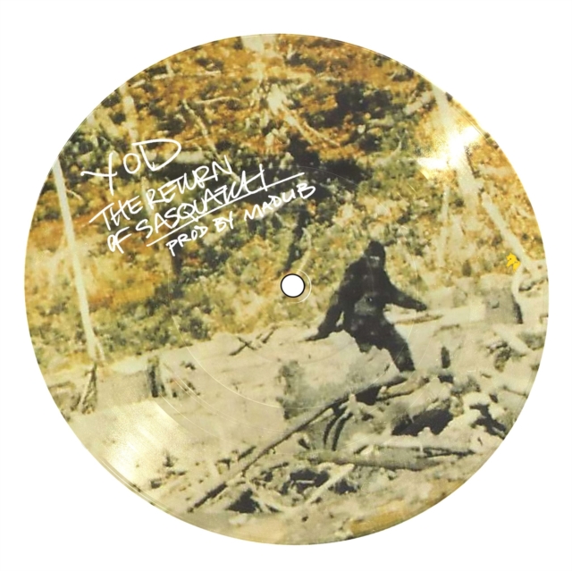 The Return of Sasquatch, Vinyl / 7" Single Picture Disc Vinyl