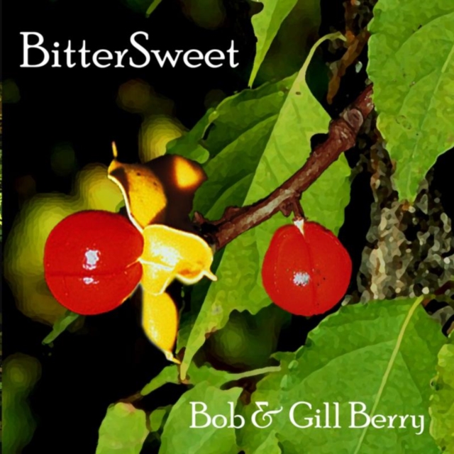 Bitter Sweet, CD / Album Cd