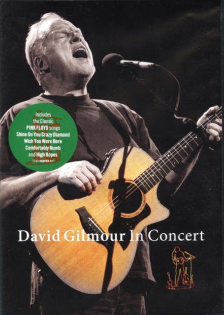 David Gilmour: In Concert, DVD  DVD