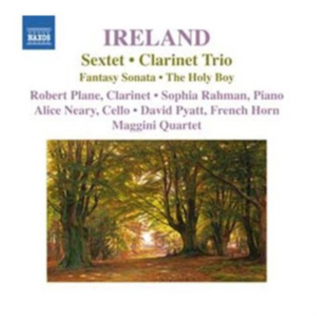 Ireland: Sextet/Clarinet Trio, CD / Album Cd