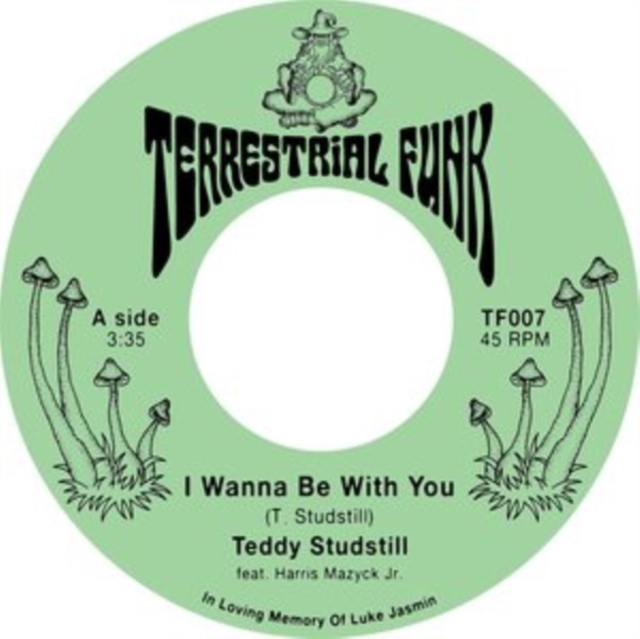 I Wanna Be With You/There Comes a Time, Vinyl / 7" Single Vinyl