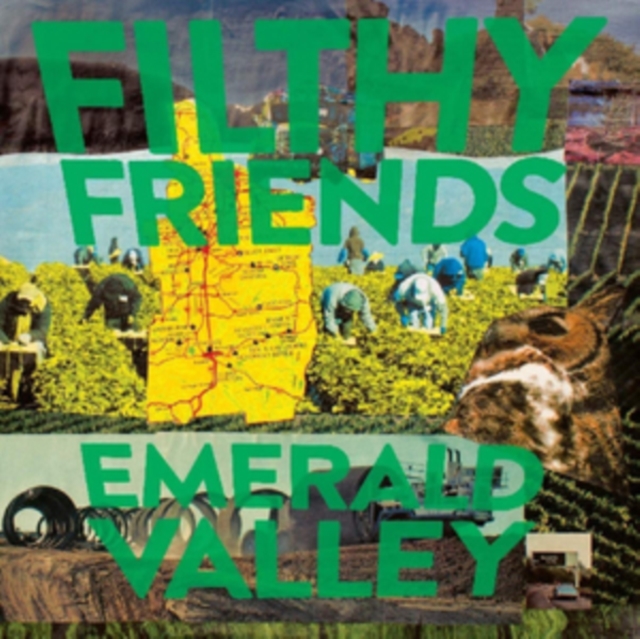 Emerald Valley, Vinyl / 12" Album Vinyl