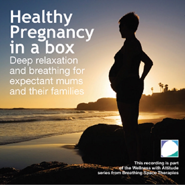 Healthy Pregnancy in a Box, CD / Album Cd