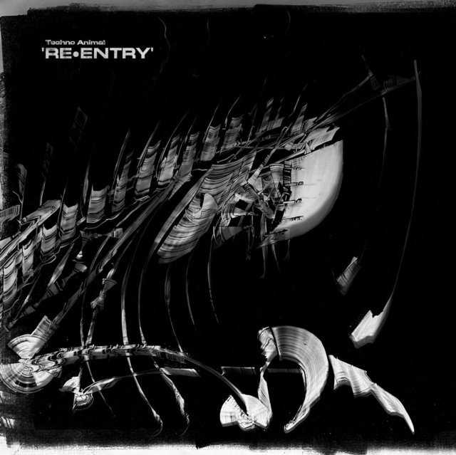 Re-entry, CD / Album Cd