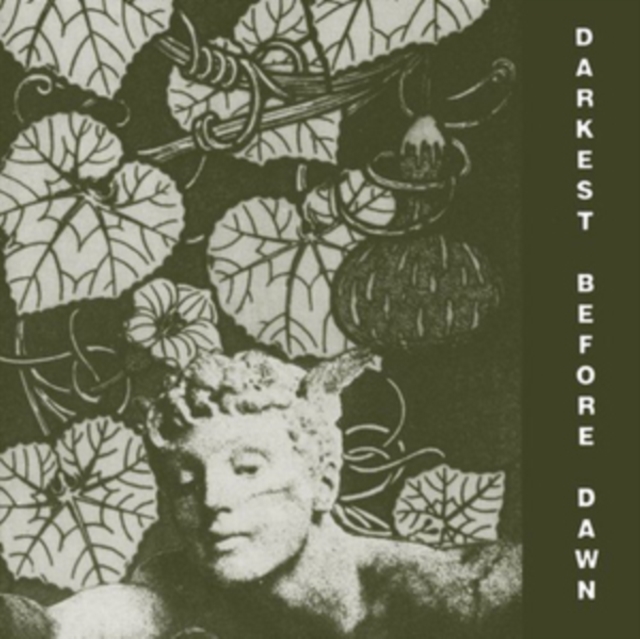 Darkest Before Dawn, Vinyl / 12" Album Vinyl