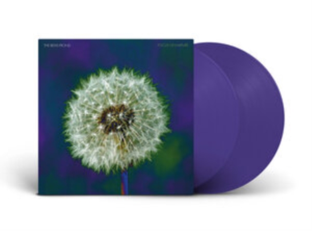 Focus On Nature, Vinyl / 12" Album Coloured Vinyl (Limited Edition) Vinyl