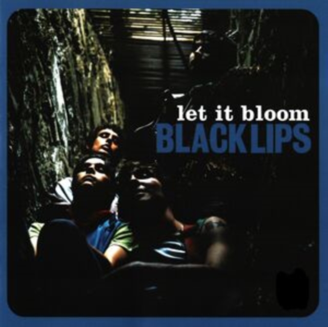 Let It Bloom, Vinyl / 12" Album Vinyl