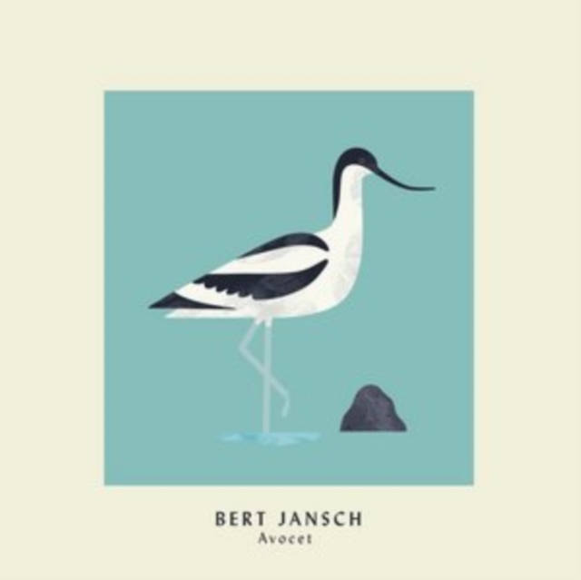 Avocet, CD / Album Cd