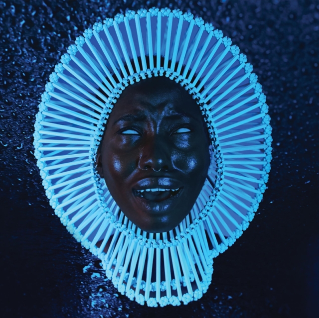 Awaken, My Love!, Vinyl / 12" Album Vinyl