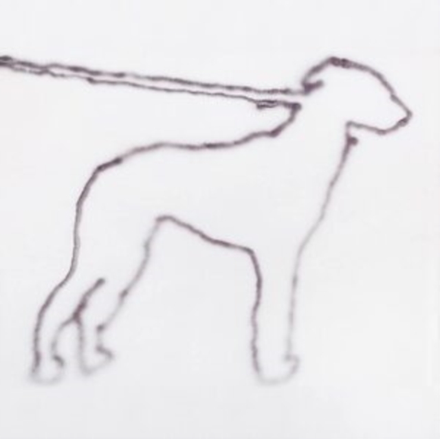Portrait of a Dog, CD / Album Digipak Cd