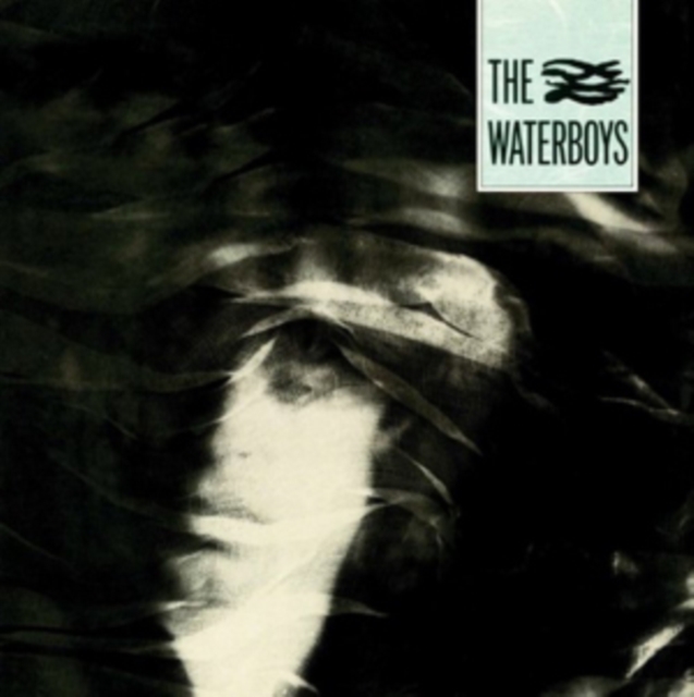 The Waterboys, Vinyl / 12" Album Vinyl