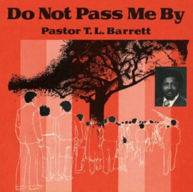 Do Not Pass Me By, Vinyl / 12" Album Vinyl
