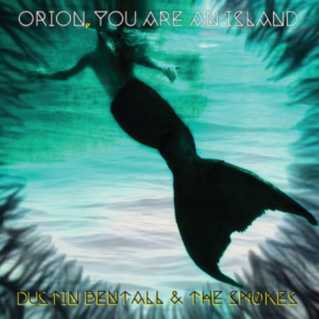 Orion, You Are an Island, Vinyl / 12" Album Vinyl