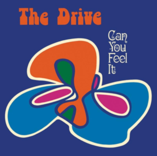 Can You Feel It (Limited Edition), Vinyl / 12" Album Vinyl