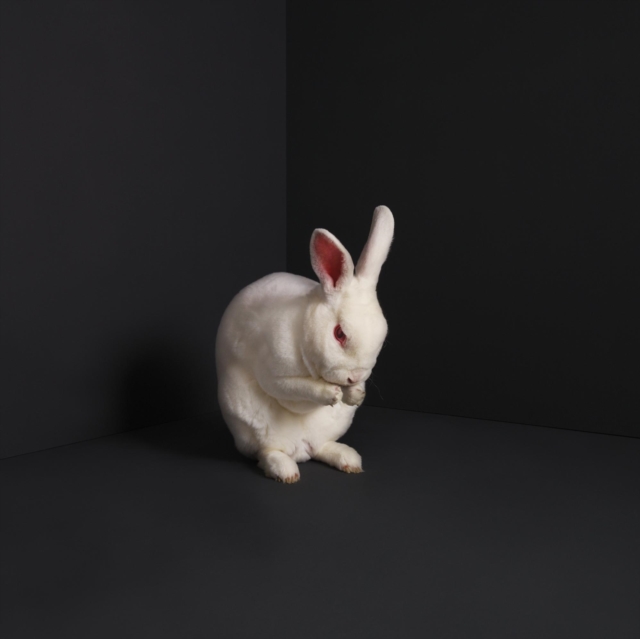 Rabbits, CD / Album Digipak Cd