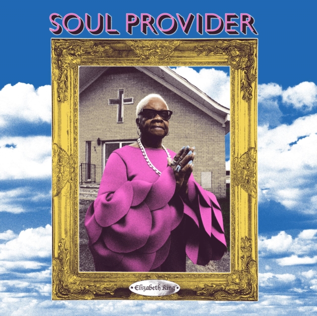 Soul Provider, Vinyl / 12" Album Vinyl
