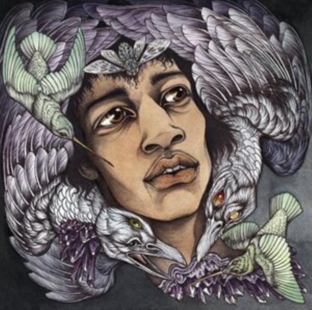 The Best of James Marshall Hendrix, Vinyl / 12" Album Vinyl