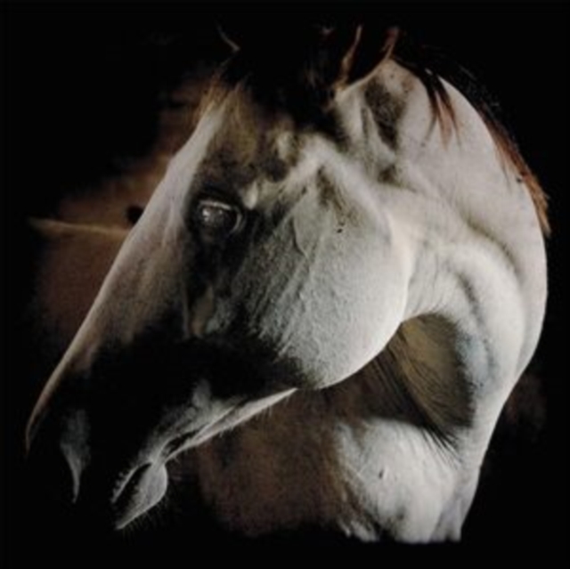 How to Kill a Horse, CD / Album Digipak Cd