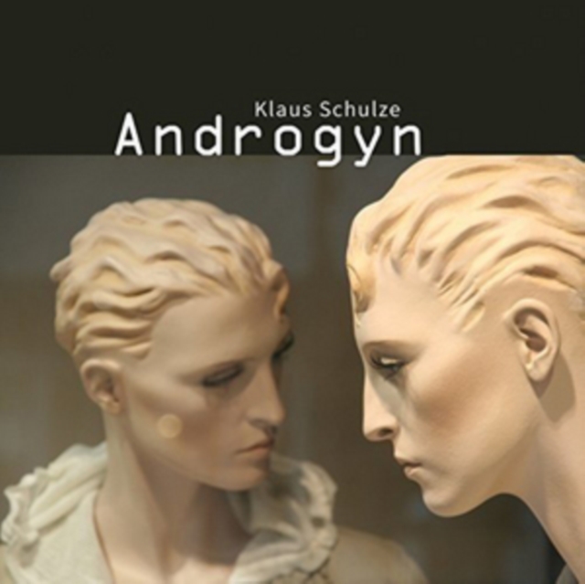 Androgyn, CD / Album Cd