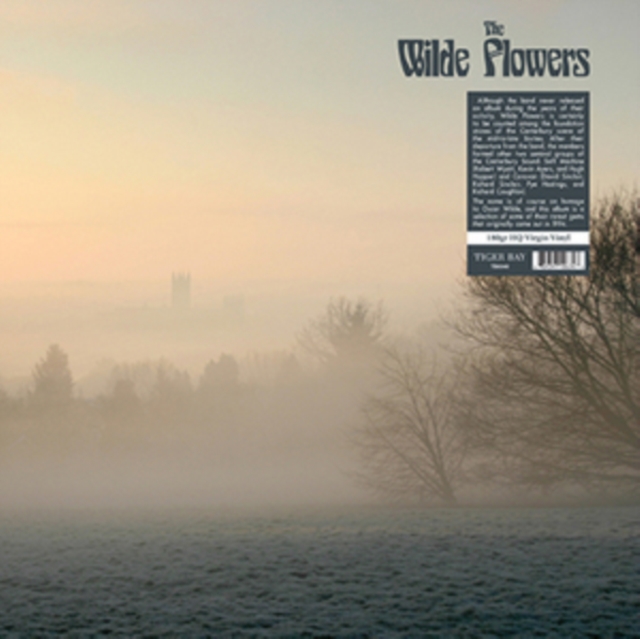 The Wilde Flowers, Vinyl / 12" Album Vinyl