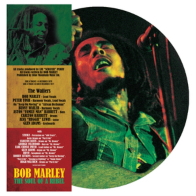 The Soul of a Rebel, Vinyl / 12" Album Picture Disc Vinyl
