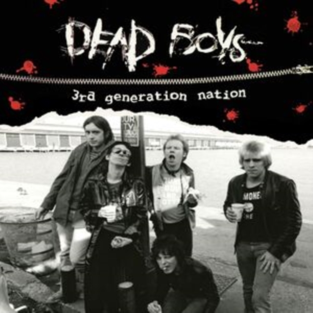 3rd Generation Nation, Vinyl / 12" Album Coloured Vinyl Vinyl