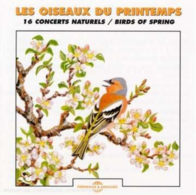 Birds of Springtime, CD / Album Cd