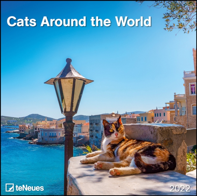 CATS AROUND THE WORLD GRID CALENDAR 2022,  Book