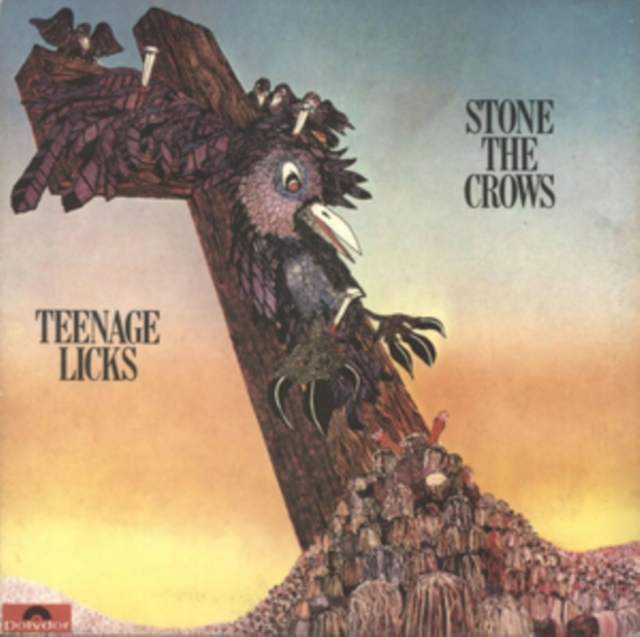 Teenage licks, Vinyl / 12" Album Vinyl