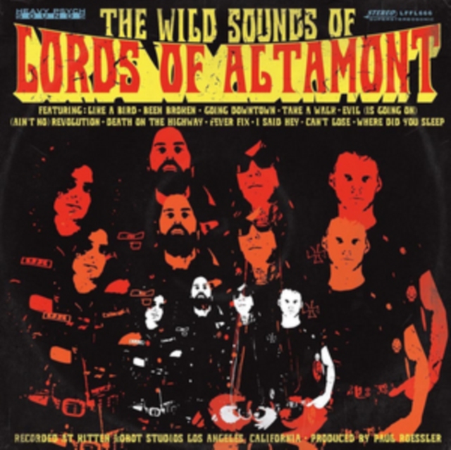 The Wild Sounds Of..., Vinyl / 12" Album Vinyl