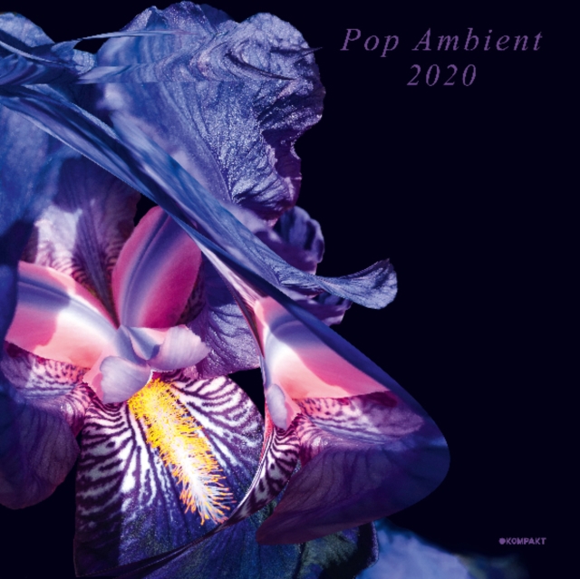 Pop Ambient 2020, CD / Album Cd