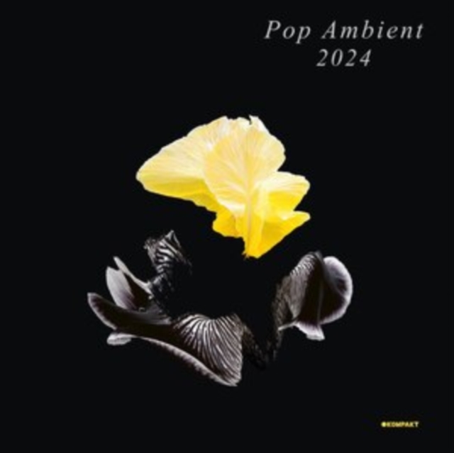 Pop Ambient 2024, Vinyl / 12" Album Vinyl