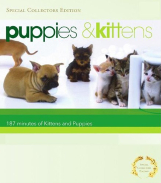 Puppies and Kittens, DVD  DVD