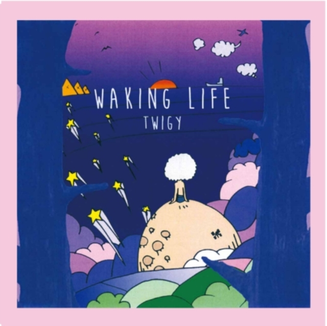 Waking Life, Vinyl / 12" Album Vinyl