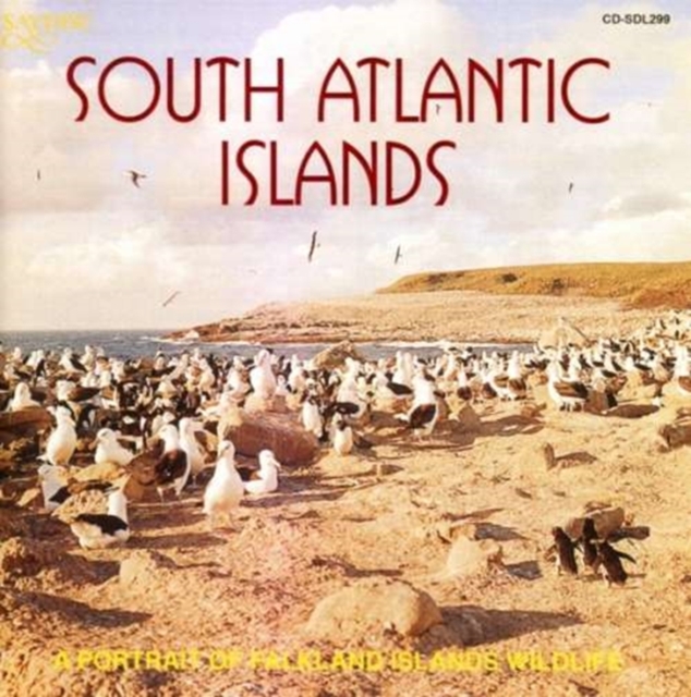 South Atlantic Islands - A Portrait of Falkland Islands, CD / Album Cd