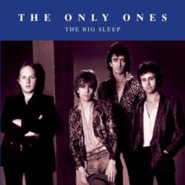 Big Sleep, Vinyl / 12" Album Vinyl